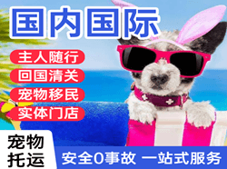 阿鲁科尔沁航空货运国际宠物托运 【国